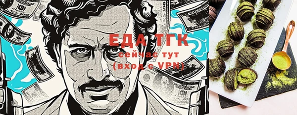 тгк Алексин