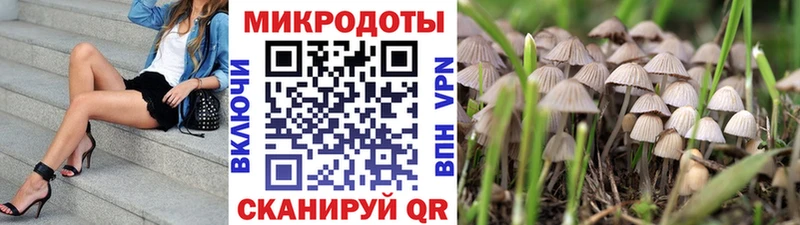 Галлюциногенные грибы Cubensis  Балашов 